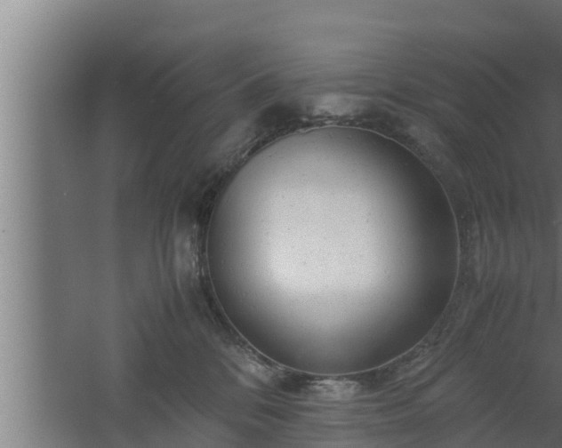 X0000061120328200511241717