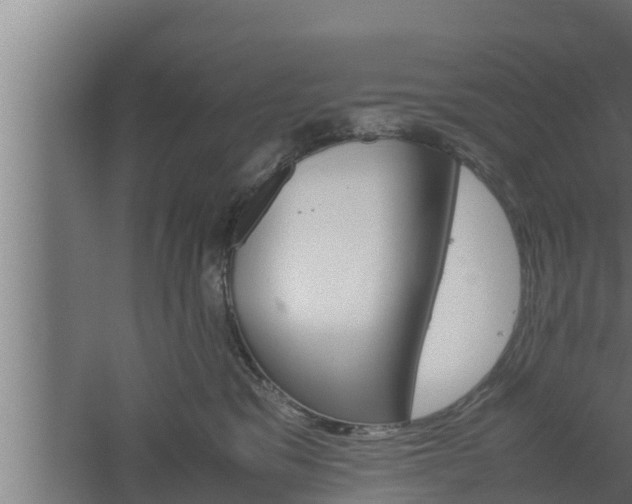 X0000061120329200511241717