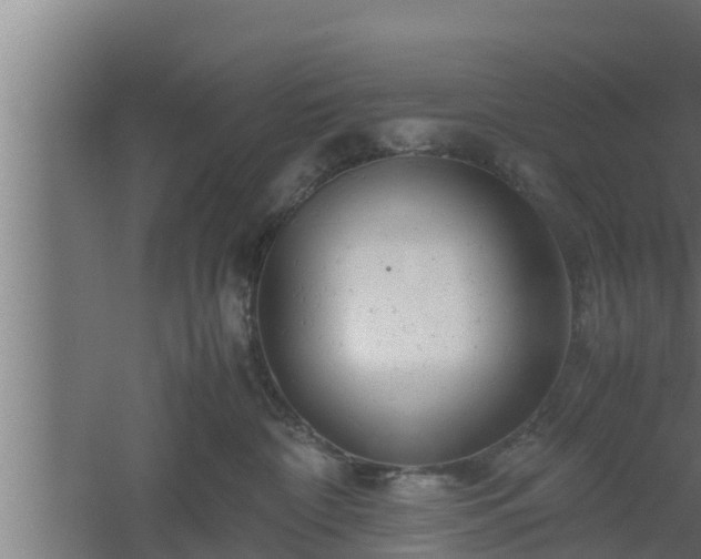 X0000061120332200511241717