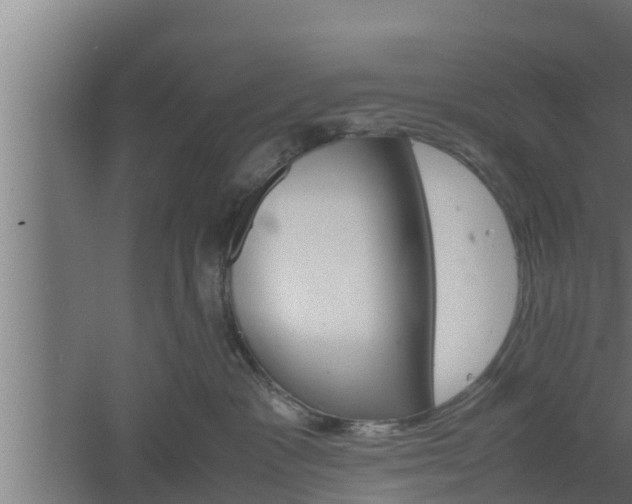 X0000061120333200511241717