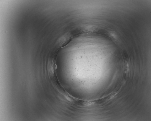 X0000061120334200511241717