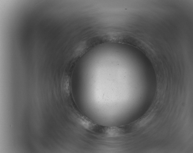 X0000061120336200511241717