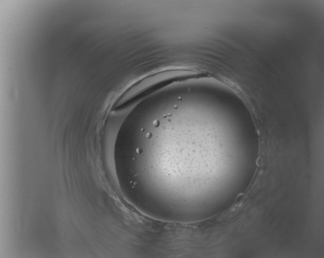 X0000061120337200511241716