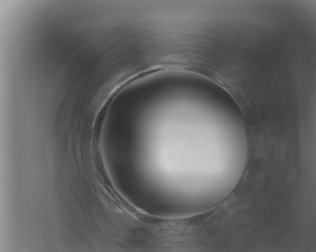 X0000061120338200511241716