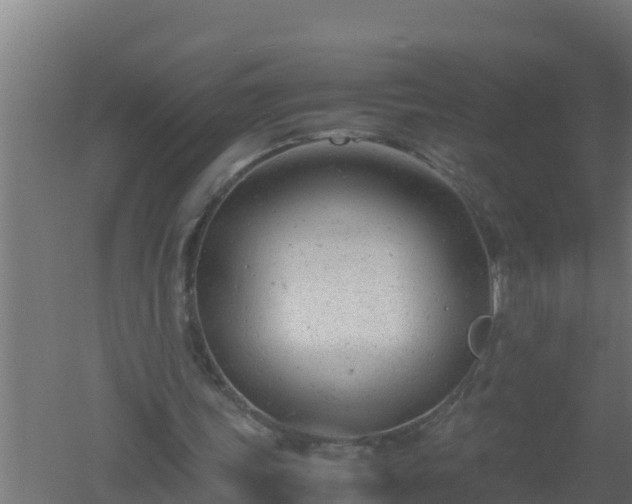 X0000061120339200511241716