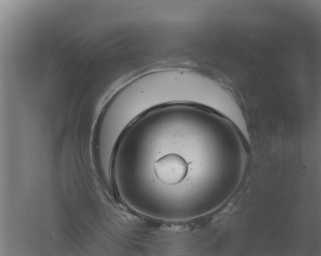 X0000061120340200511241716