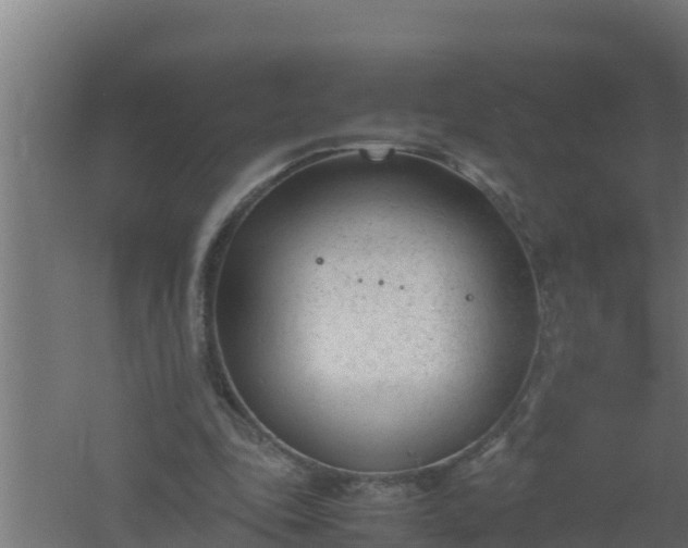 X0000061120343200511241716