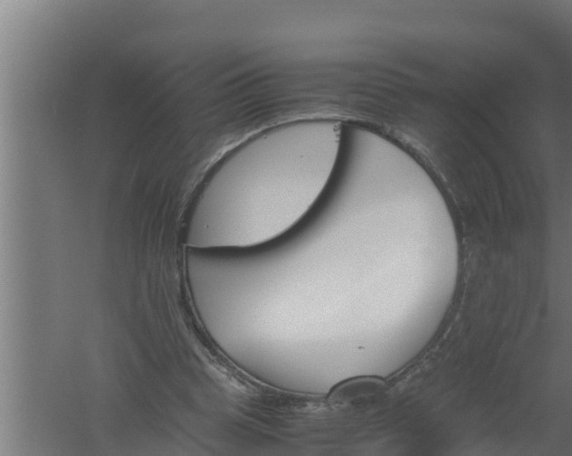 X0000061120345200511241716