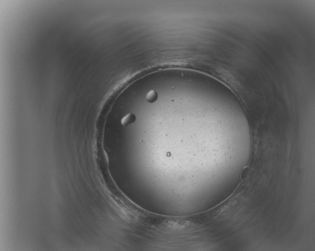 X0000061120346200511241716