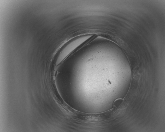 X0000061120347200511241716