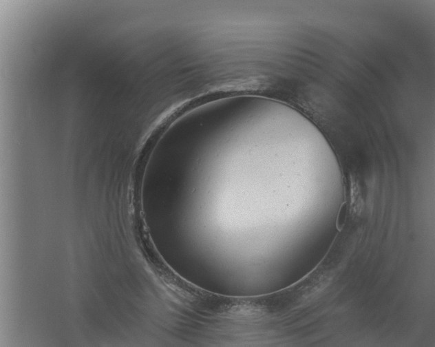 X0000061120348200511241716