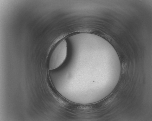 X0000061120349200511241716