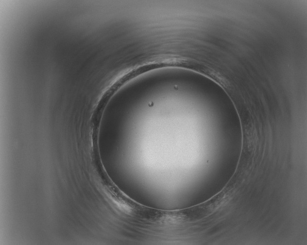 X0000061120350200511241716