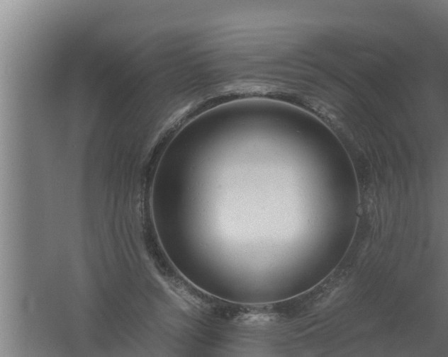 X0000061120352200511241716