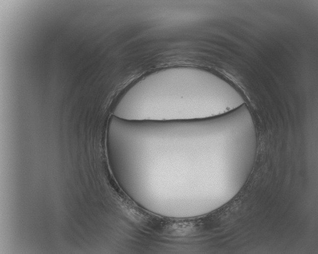 X0000061120353200511241716