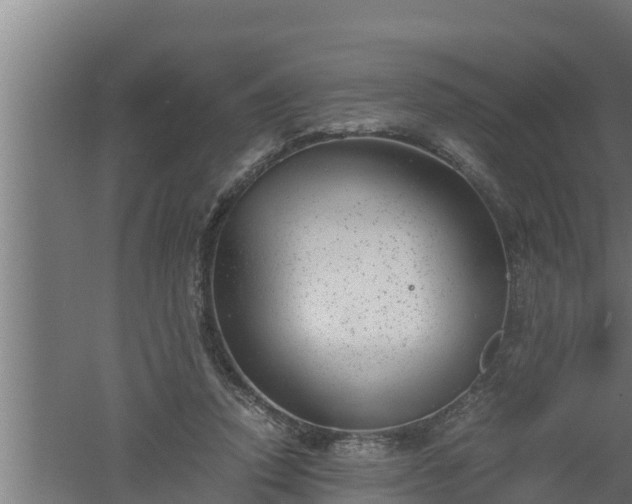 X0000061120354200511241716