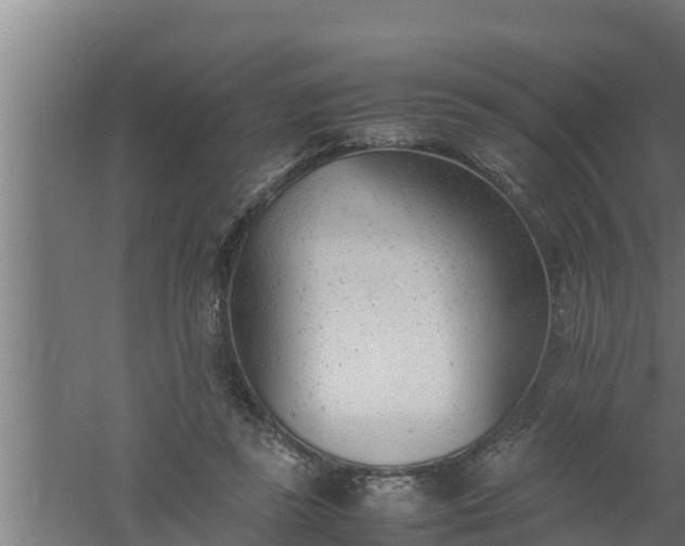 X0000061120355200511241716