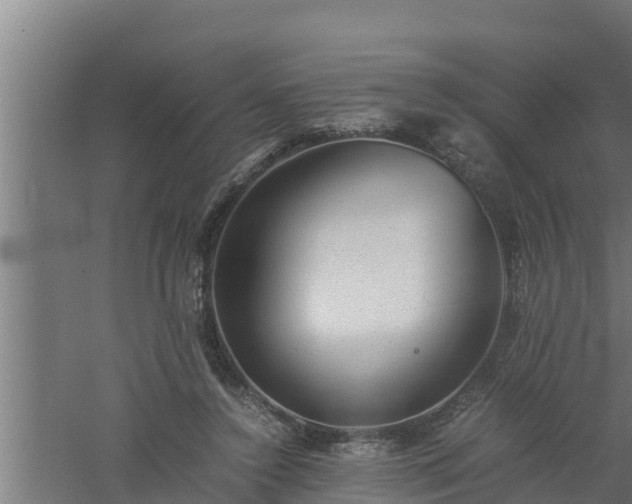 X0000061120356200511241716