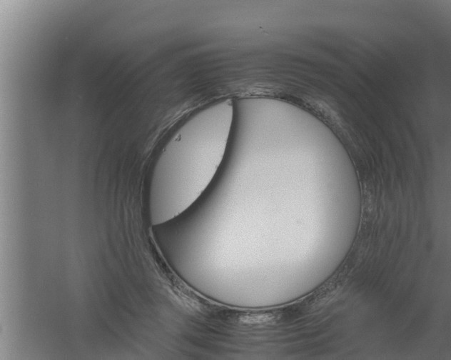 X0000061120357200511241716