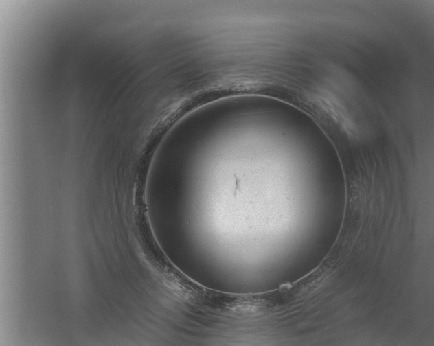 X0000061120358200511241716