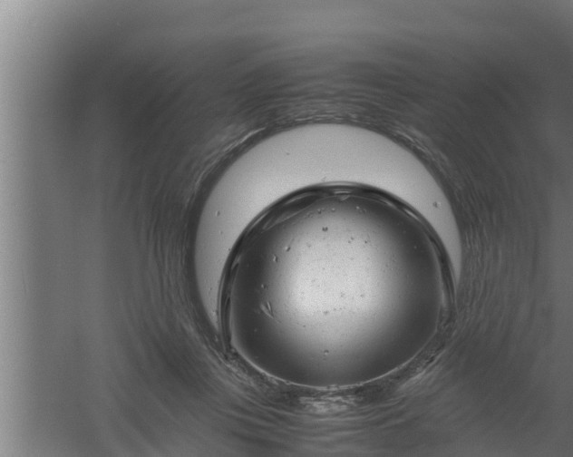 X0000061120359200511241716