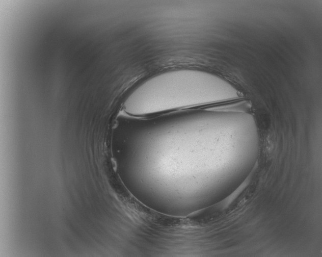 X0000061120360200511241716