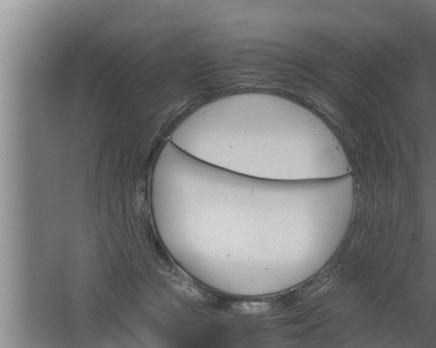 X0000061120361200511241716