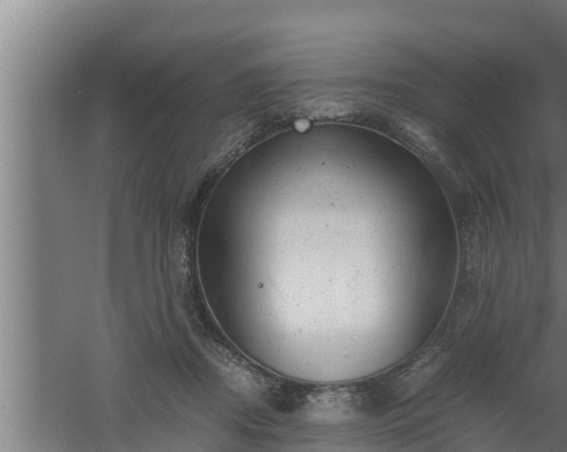 X0000061120362200511241716