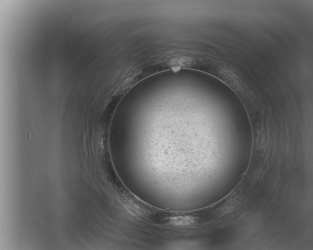 X0000061120363200511241716