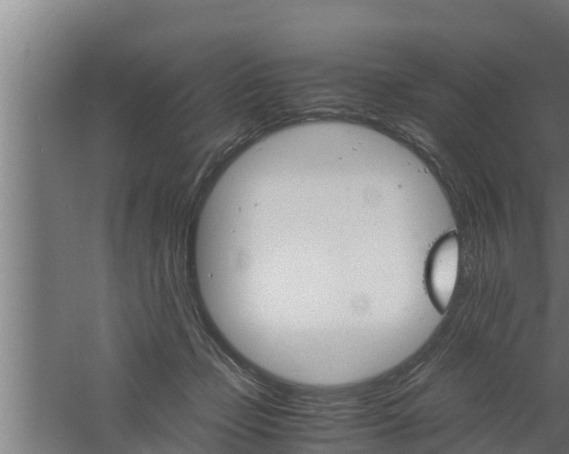 X0000061120365200511241716