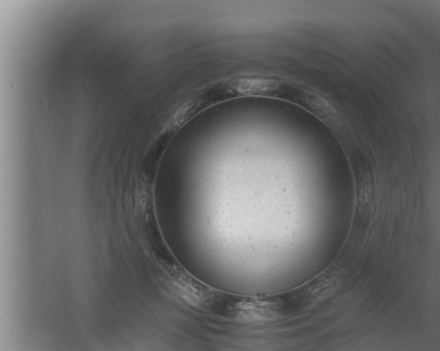 X0000061120367200511241716