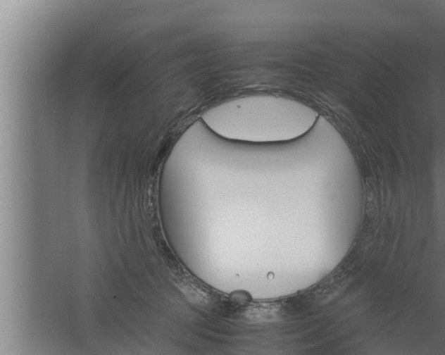 X0000061120369200511241716