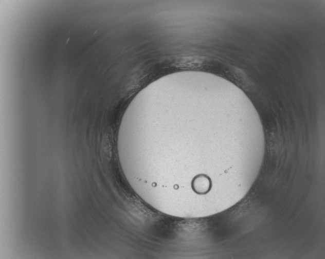 X0000061120370200511241716