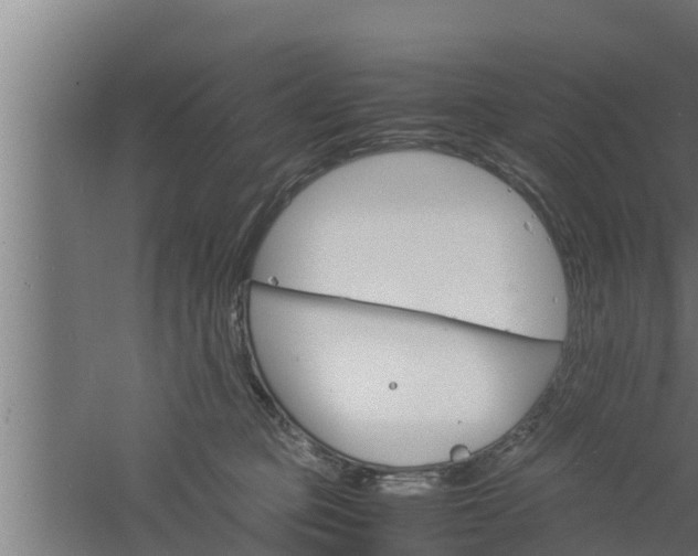 X0000061120373200511241716