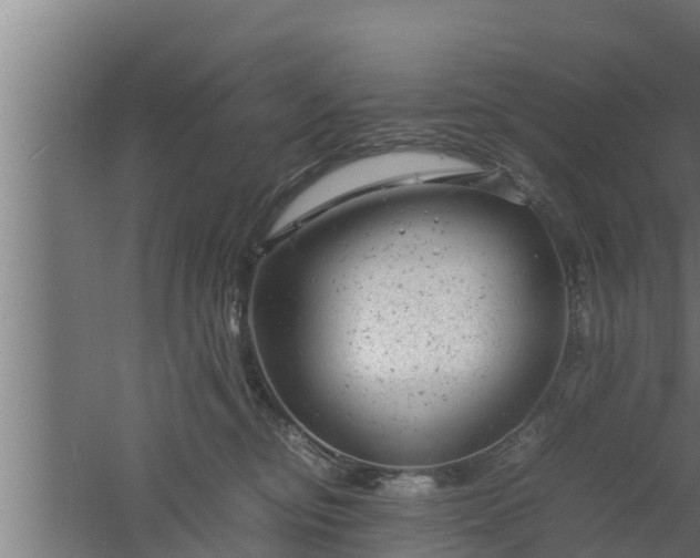 X0000061120374200511241716