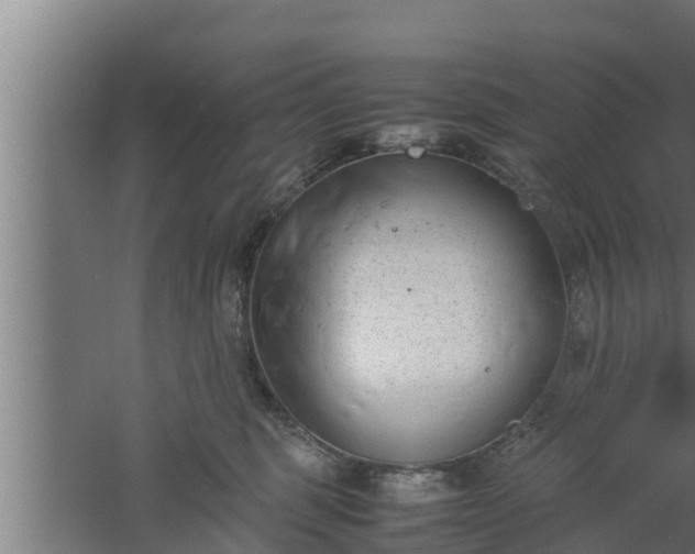 X0000061120375200511241716