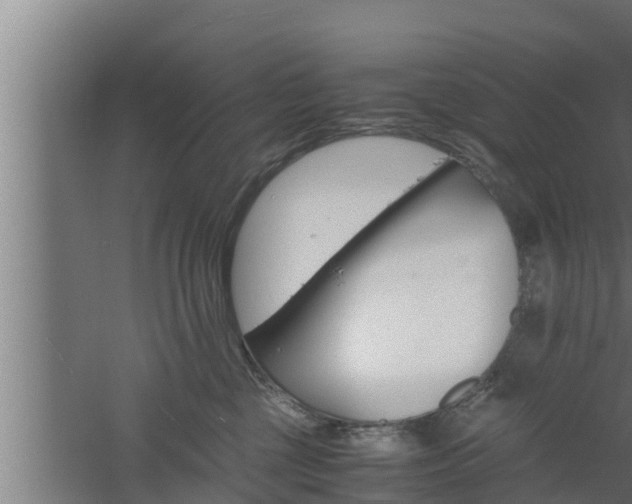 X0000061120377200511241716