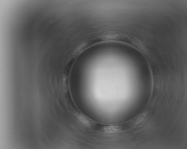 X0000061120378200511241716