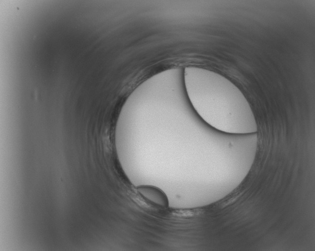 X0000061120381200511241716