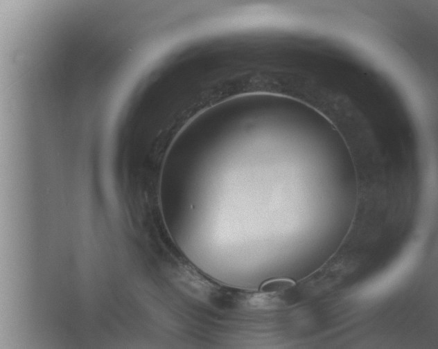 X0000061120382200511241716