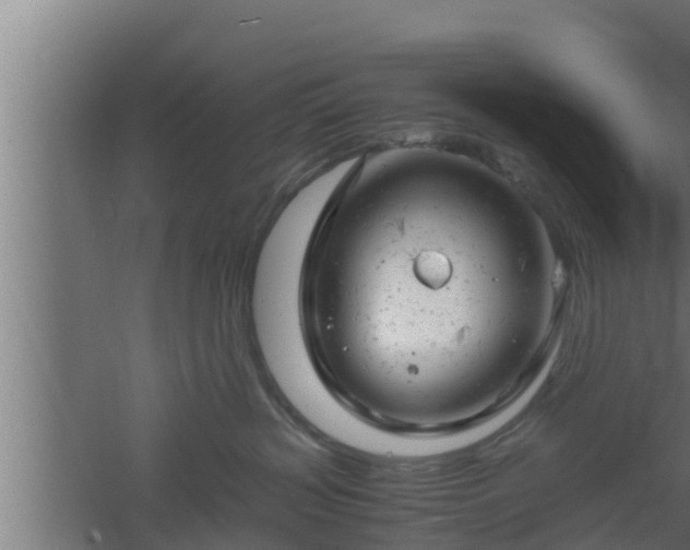 X0000061120383200511241716