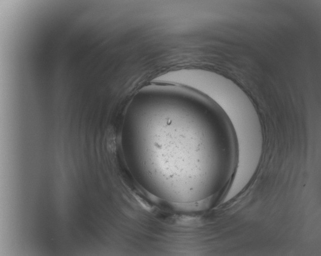 X0000061120384200511241716