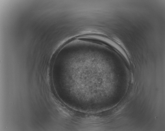 X0000061120387200511241716