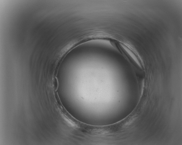 X0000061120389200511241716