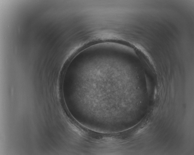 X0000061120391200511241716