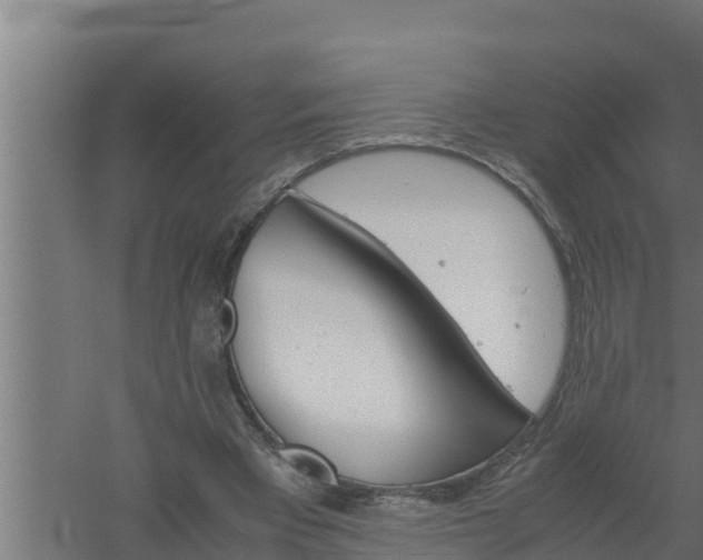 X0000061120393200511241715