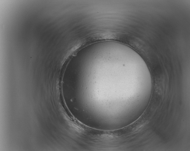 X0000061120394200511241715