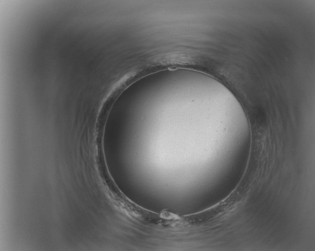 X0000061120395200511241715