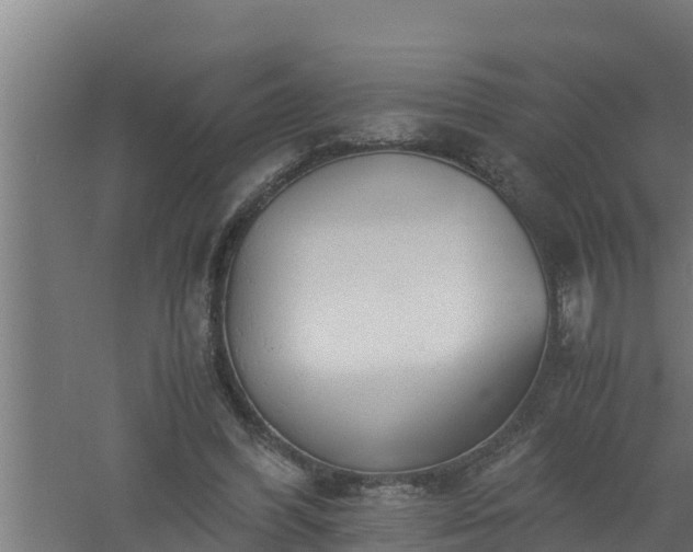 X0000061120396200511241715