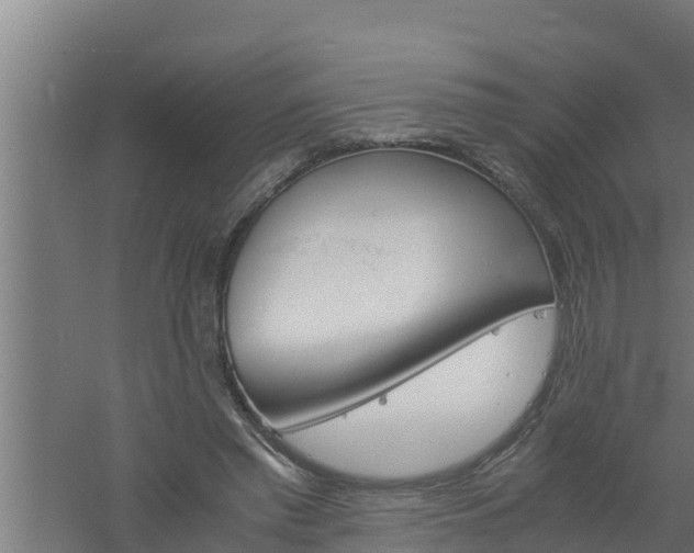 X0000061120397200511241715